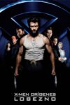 Image X-Men orígenes: Wolverine
