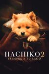 Image Hachiko 2: Siempre a tu Lado